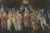 primavera botticelli uffizi