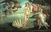 venere botticelli uffizi firenze